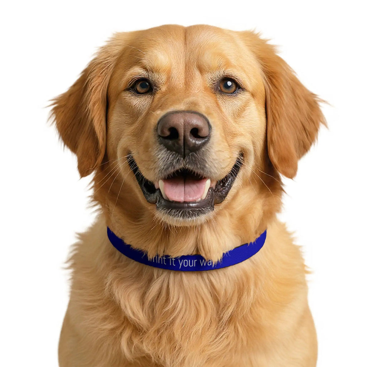 Printify Custom Clip-On Pet Collar — Personalized Blue Collar ("Print it your way") - Pet Collars & Ties Pets