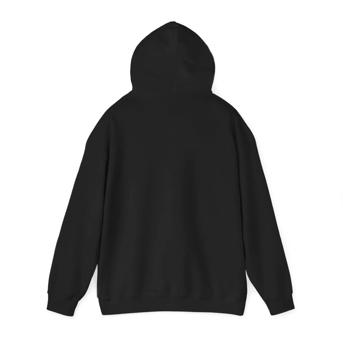 Printify Founding Fathers Portrait Hoodie | History Humor, Museum Nerd - Hoodies Hoodie